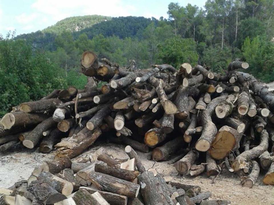 can Fiol venda de llenya - Argençola