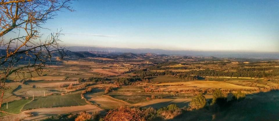 4.1.2015 Paisatge a l'hivern des d'Aguiló  Argençola -  Ramon Sunyer