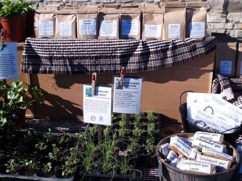 Parada de planters i llavors - Argençola