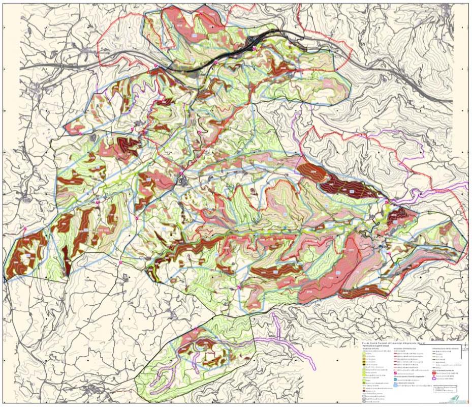 Pla de gestió forestal del municipi d'Argençola  actuacions - Argençola