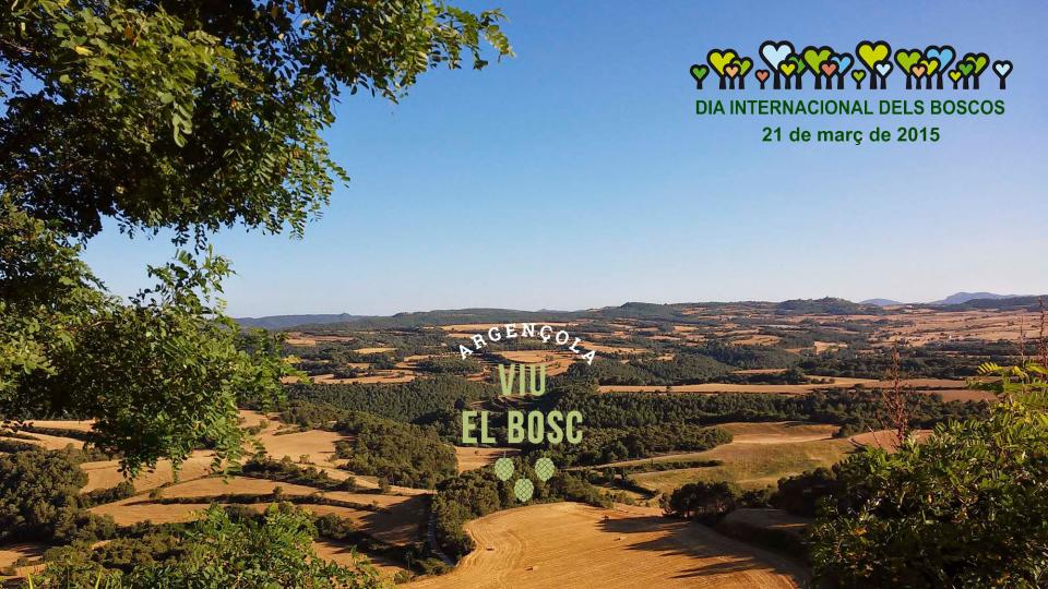 Dia Internacional dels Boscos 2015