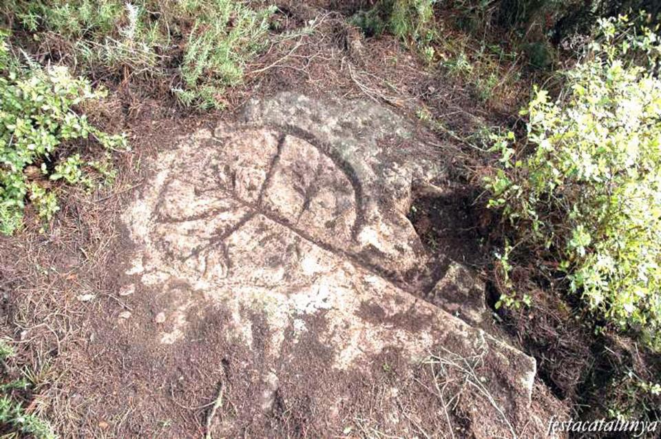 30.3.2015 Petroglif l'arbre de la vida  Els Plans de Ferran -  festacatalunya,cat