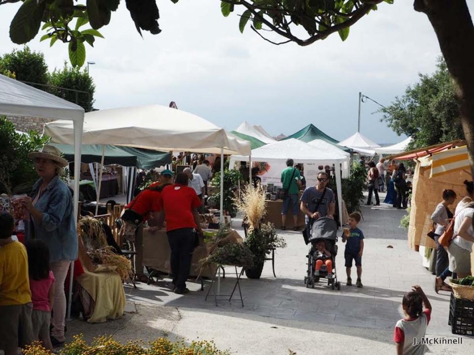 13.6.2015 Parades del 5è Mercat de les espècies  Argençola -  James McKinnell