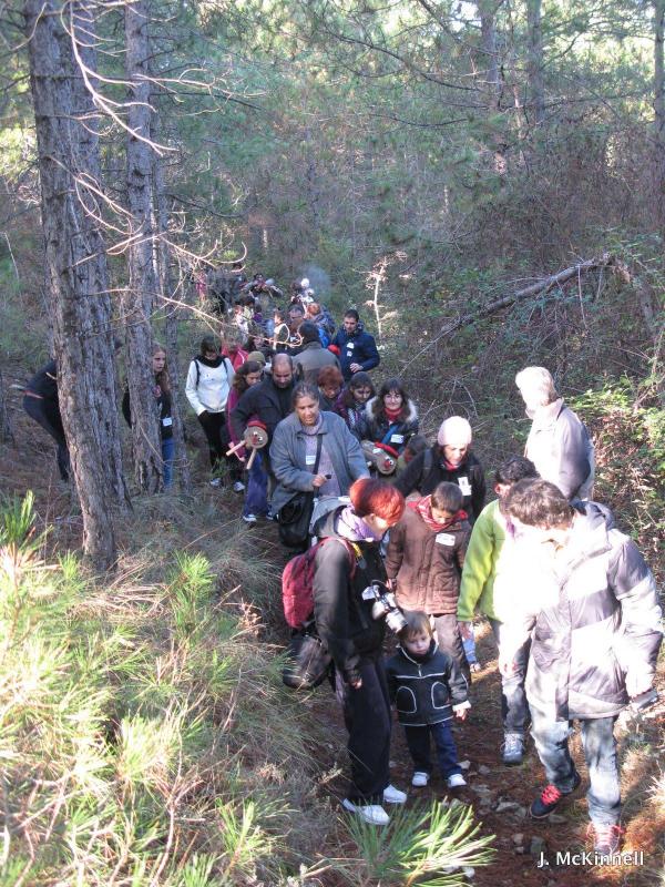 Sortida de les famílies al bosc