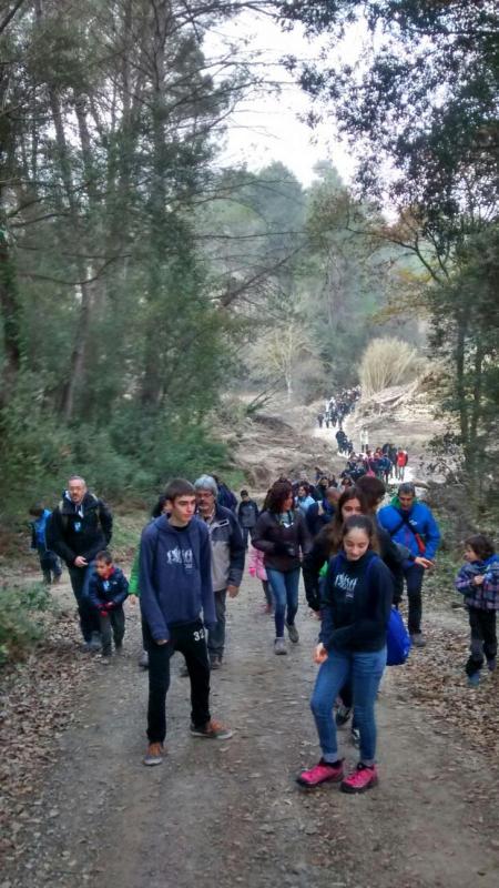 6.12.2015 camí del bosc  Clariana -  Toni Castillo