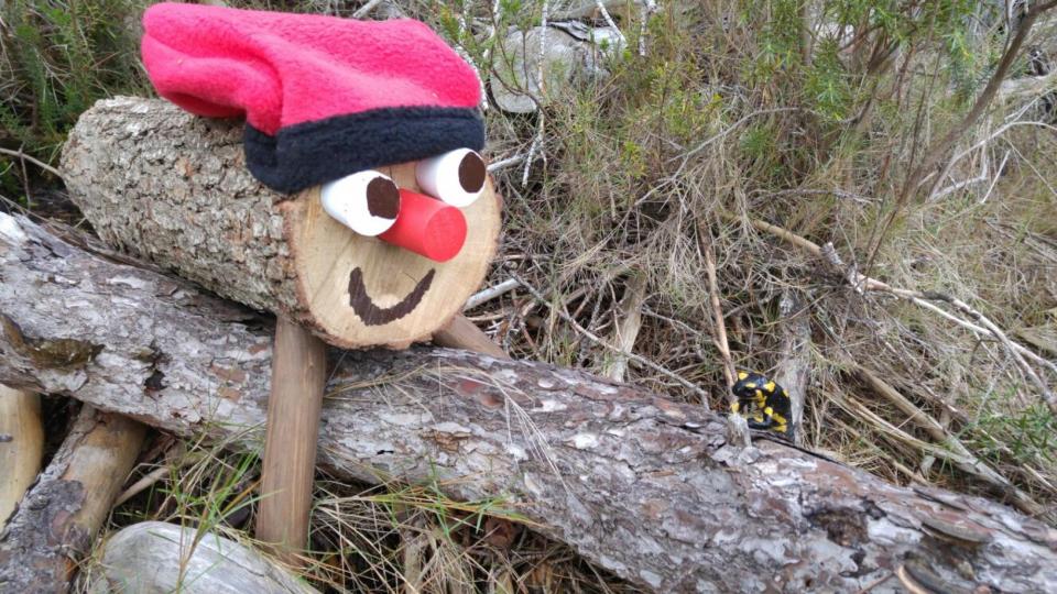 El Tió ha trobat companyia