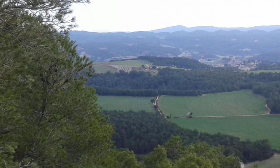 Ruta de senderisme Un tomb per les obagues - Autor Carme Monclus (2016)