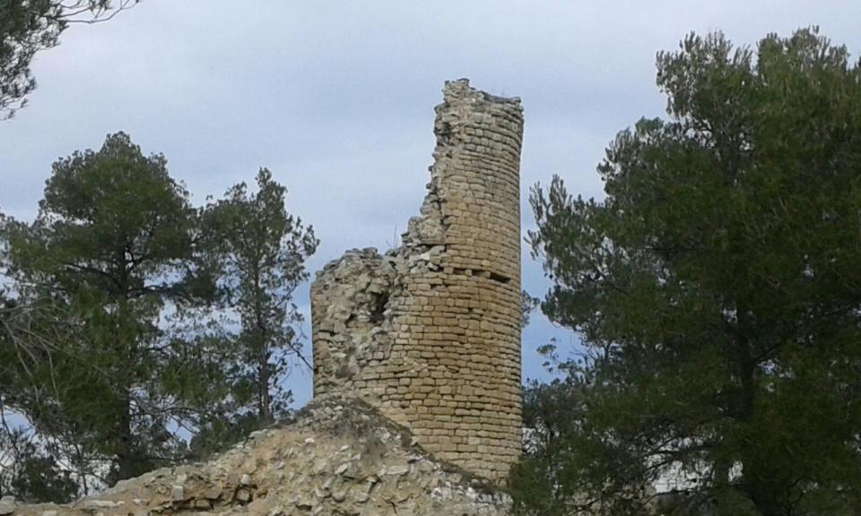 31.1.2016 Restes del Castell de Clariana  Clariana -  Carme Monclus