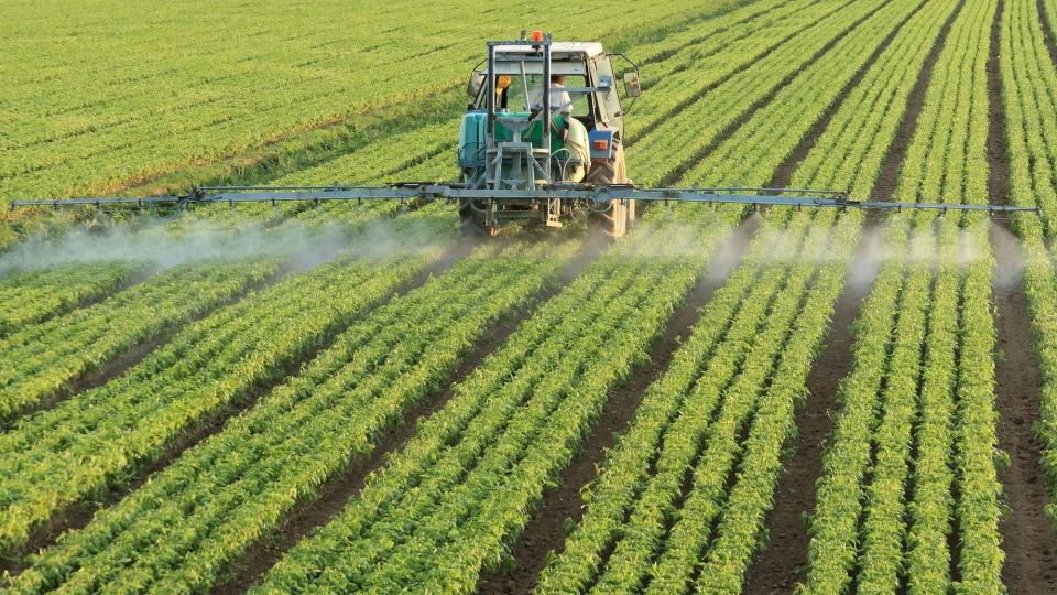 avanç en l'avaluació del risc acumulatiu dels pesticides