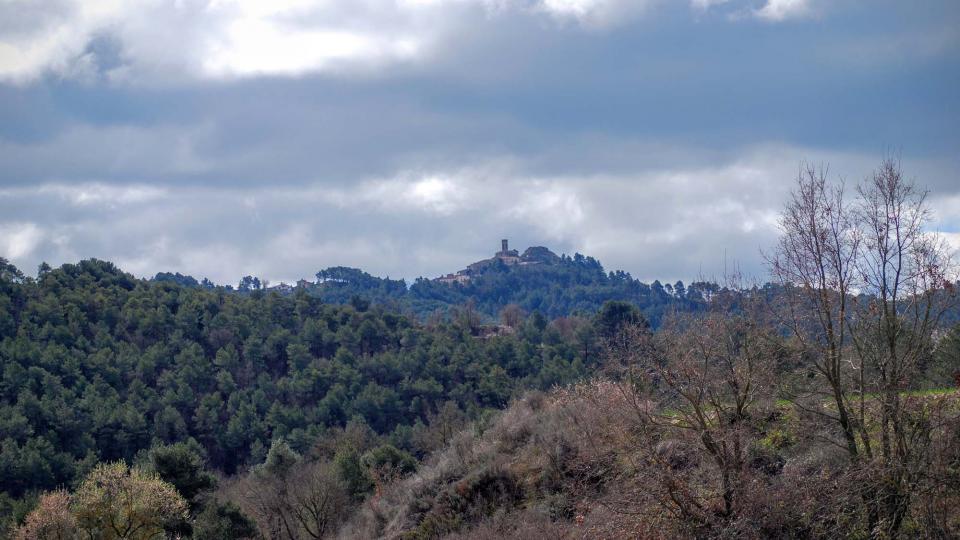 Els boscos ocupen dues terceres parts del terme d'Argençola