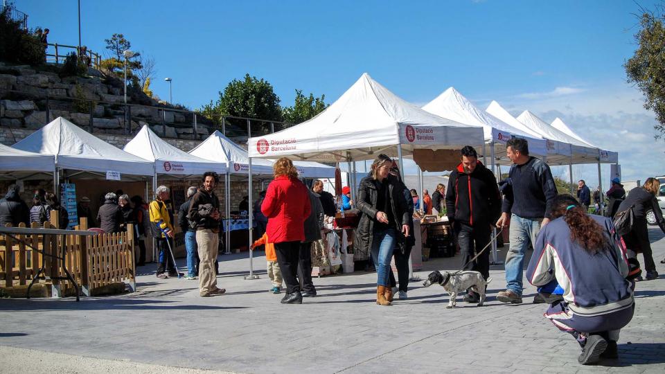 6 de Març de 2016 mercat  Argençola -  Ramon Sunyer