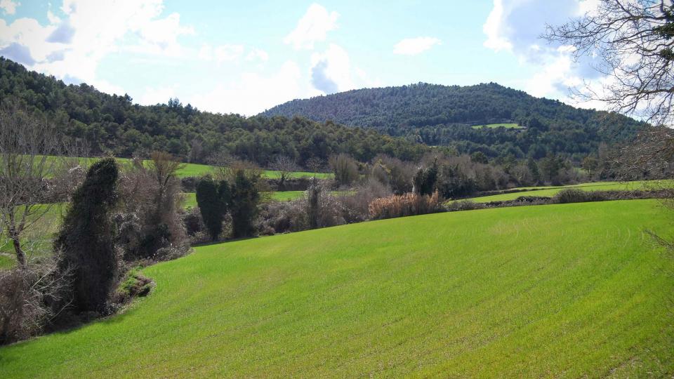 6.3.2016 sembrats a les Planes del Molí  Argençola -  Ramon Sunyer