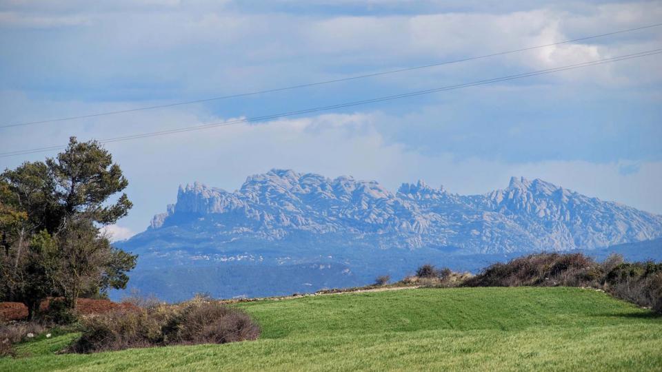 Walking Tour PEIN Carbasí (Pla de l'Àliga-El Violí- Coll d'Osà) - Author Ramon Sunyer (2016)