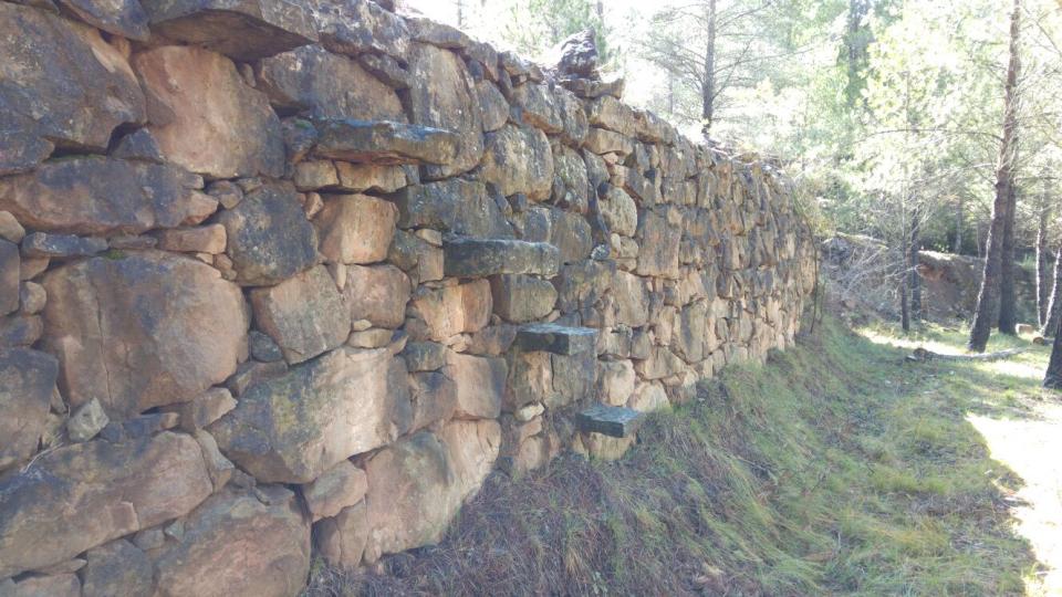 20.3.2016 Marge de pedra seca amb escala  Cal Caseta -  Martí Garrancho