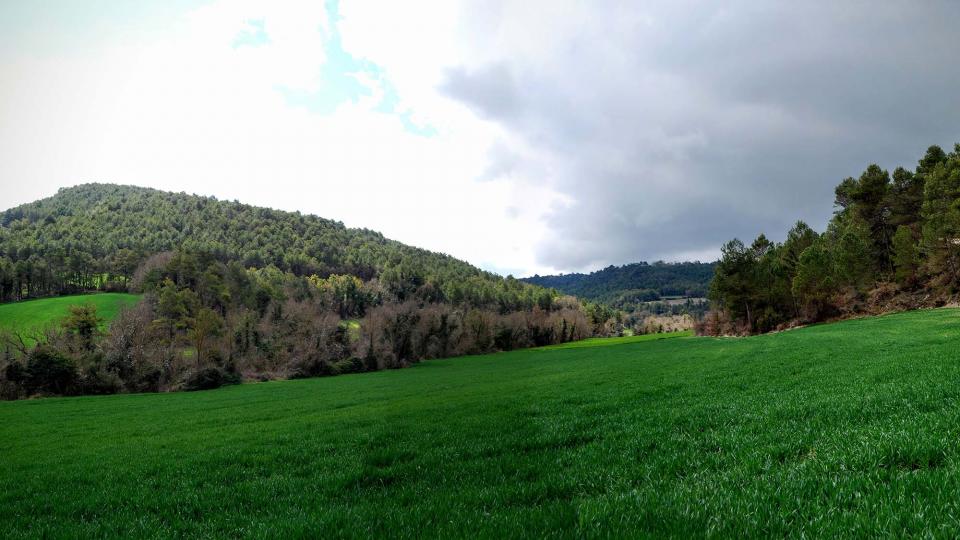 20.03.2016 paisatge  Rocamora -  Ramon Sunyer