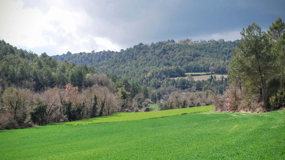 20.3.2016 paisatge  Rocamora -  Ramon Sunyer