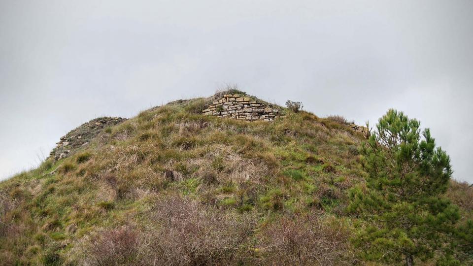 20.3.2016 restes del castell  Argençola -  Ramon Sunyer