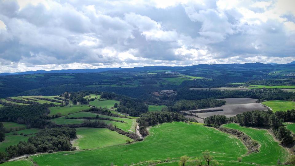 20.3.2016 paisatge de primavera  Argençola -  Ramon Sunyer