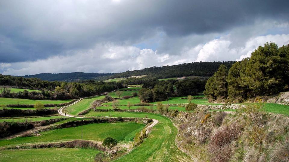 20.3.2016 paisatge de primavera  Contrast -  Ramon Sunyer