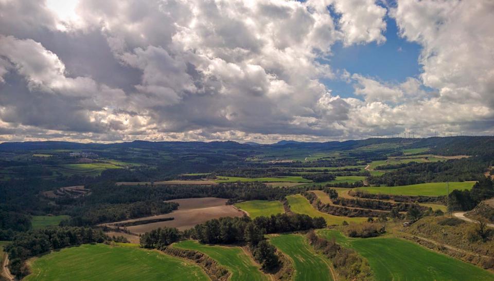 20.3.2016 paisatge de primavera  Argençola -  Ramon Sunyer