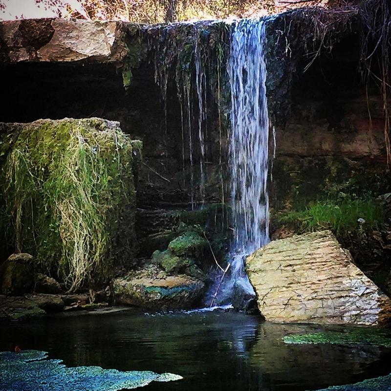 Contrast, imatge guanyadora del Concurs Instagram Argençola