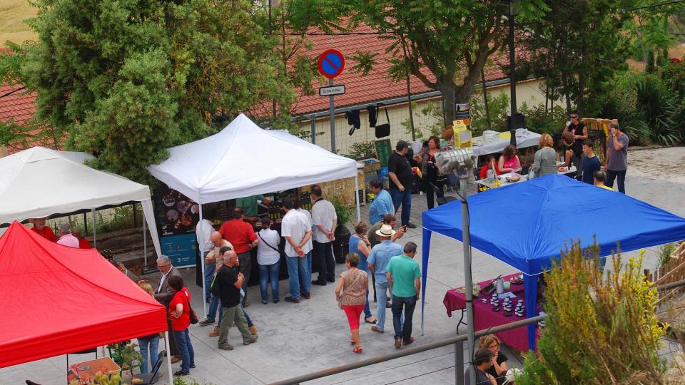 11 de Juny de 2016   Argençola -  Ramon Sunyer