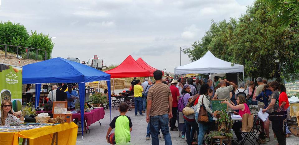 11 de Juny de 2016 6è mercat de les espècies  Argençola -  Ramon Sunyer