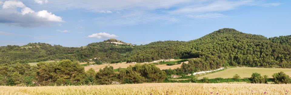 11.6.2016 Planes del molí  Argençola -  Ramon Sunyer