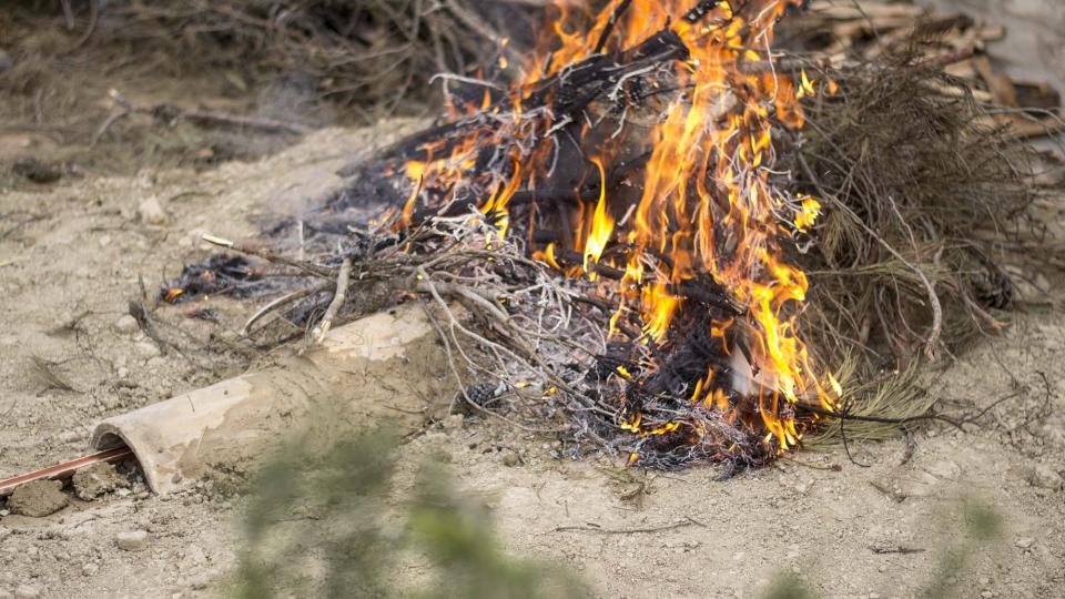 11 de Juny de 2016 forn de càdec  Argençola -  Txetxu Sanz