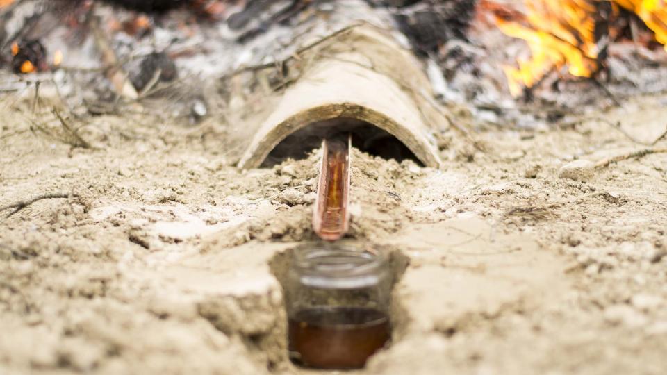 11 de Juny de 2016 Obtenció d'oli de ginebró  Argençola -  Txetxu Sanz