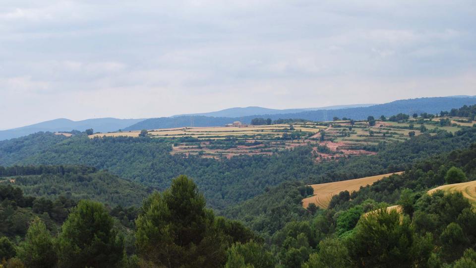 11.6.2016 paisatge  Argençola -  Ramon Sunyer