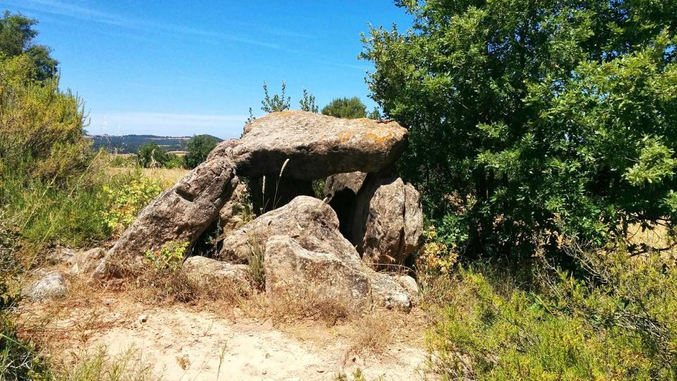 3.7.2016 sepulcre Megalític  Els Plans de Ferran -  Ramon  Sunyer