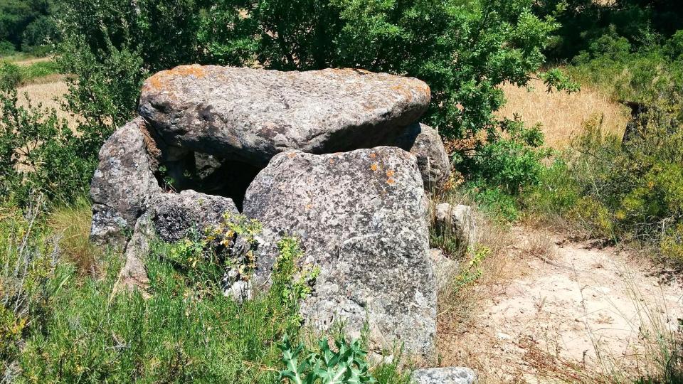 Dolmen sepulcre Megalític - Author Ramon  Sunyer (2016)