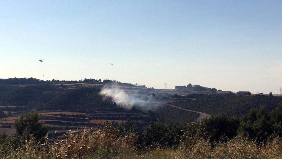 Dotacions aèries van participar en l'extinció de l'incendi de Carbasí