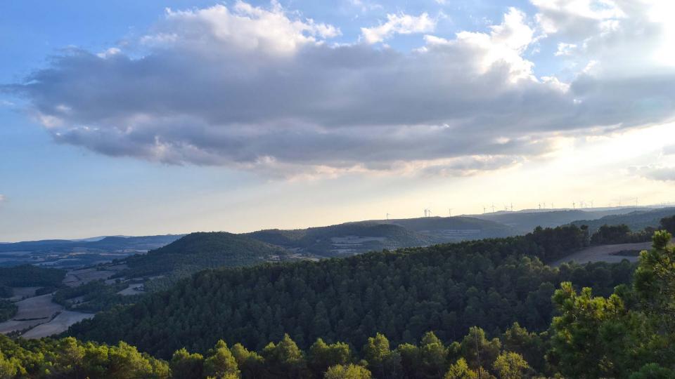 15.10.2016 paisatge de Rocamora  Carbasí -  Ramon  Sunyer