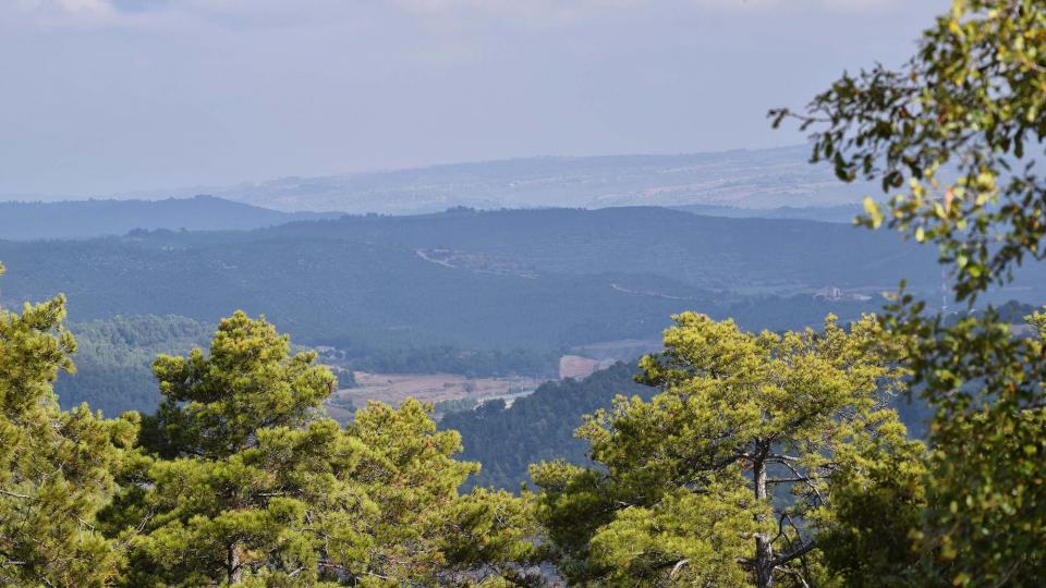 23.10.2016 Mirant a Porquerisses  Carbasí -  Ramon Sunyer