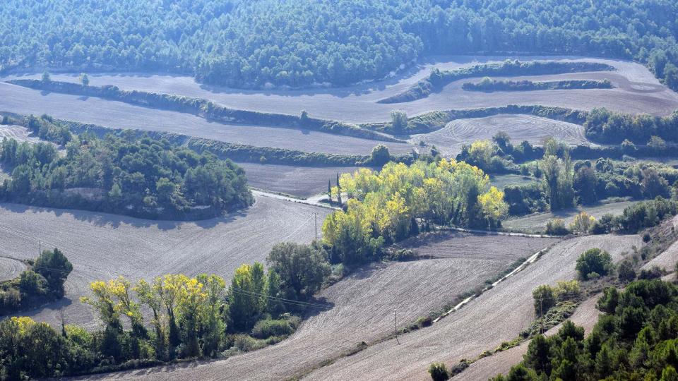 23.10.2016 El torrent del Molí de les Vinyes  Carbasí -  Ramon Sunyer