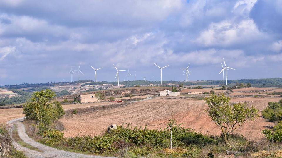 23.10.2016 paisatge  Carbasí -  Ramon Sunyer