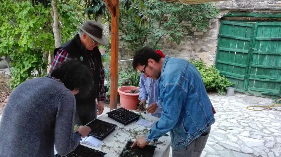 Curs Pràctic de Plantes aromàtiques i medicinals