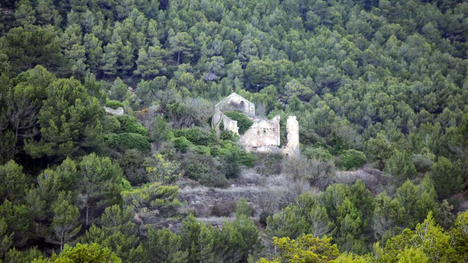 Church Sant Pere de la Goda - Author Ramon Sunyer (2016)