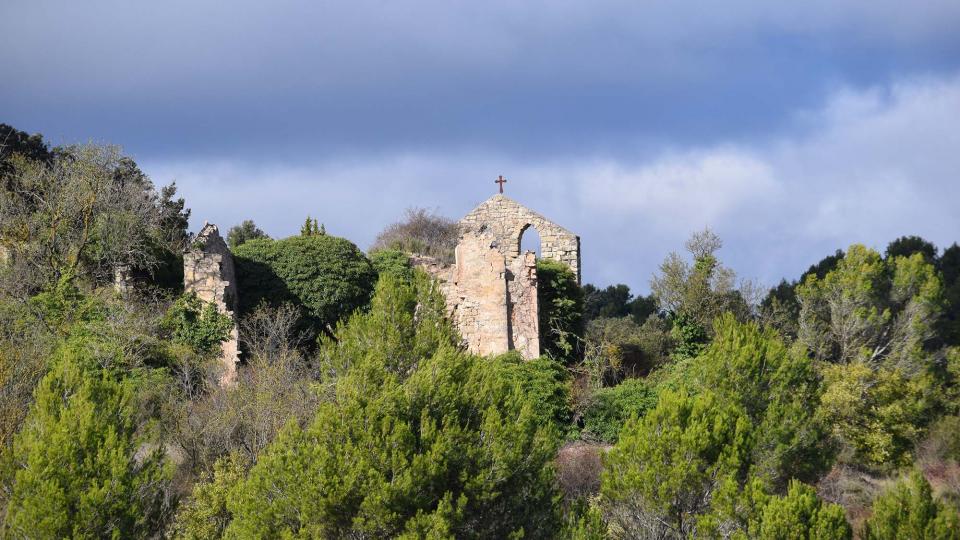 06.11.2016 Church Sant Pere de la Goda  248 - Author Ramon Sunyer