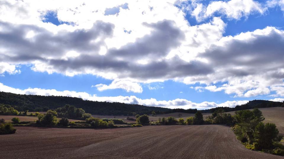 6.11.2016 paisatge de tardor  La Goda -  Ramon Sunyer