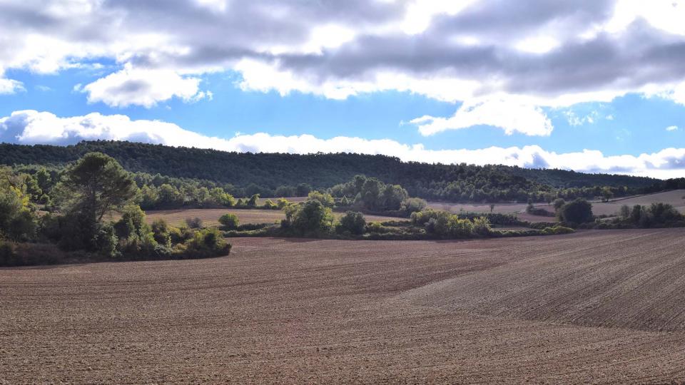 6.11.2016 paisatge de tardor  La Goda -  Ramon Sunyer