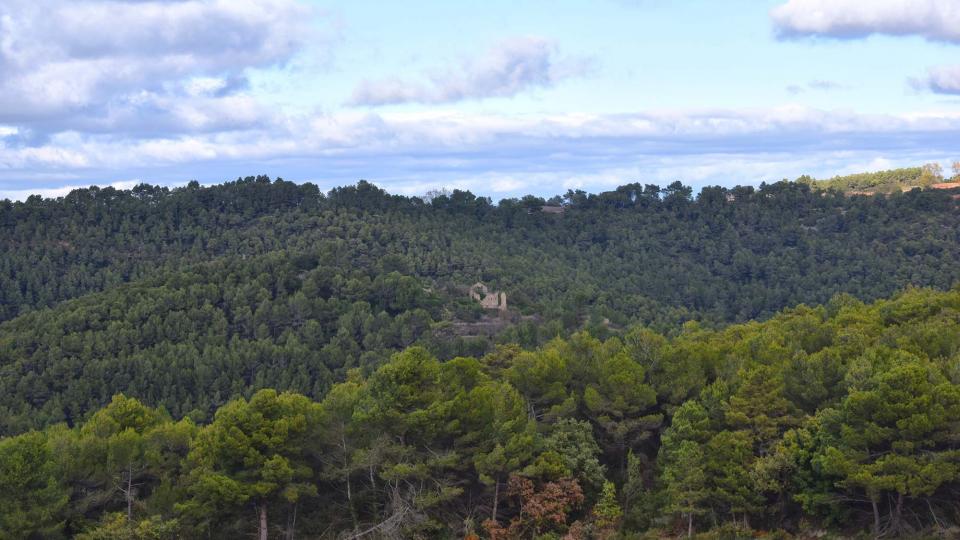 6.11.2016 paisatge de tardor  La Goda -  Ramon Sunyer