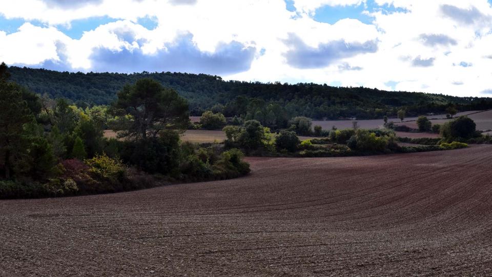 6.11.2016 paisatge de tardor  La Goda -  Ramon Sunyer