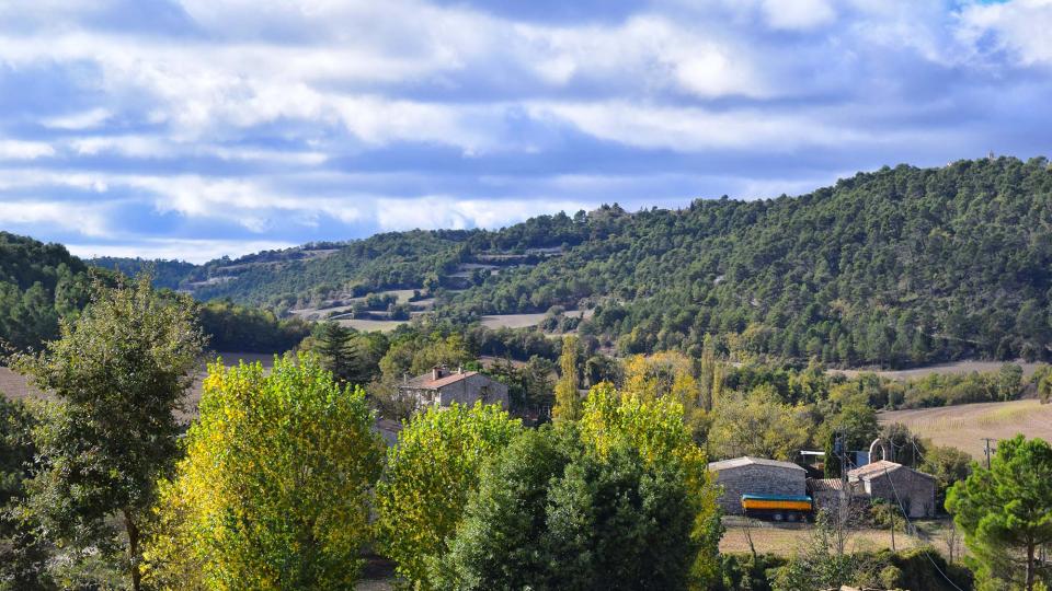 6.11.2016 paisatge de tardor  Rocamora -  Ramon Sunyer