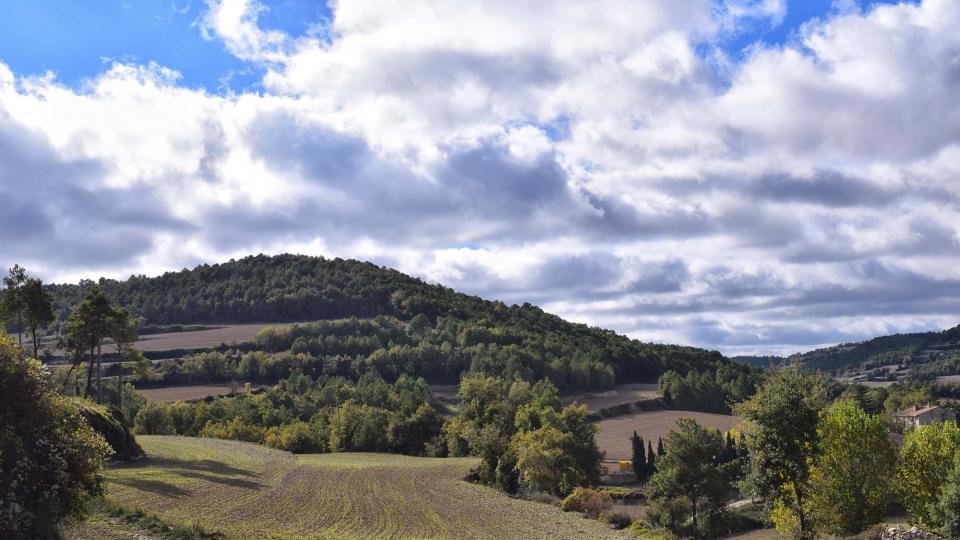 6.11.2016 paisatge de tardor  Rocamora -  Ramon Sunyer