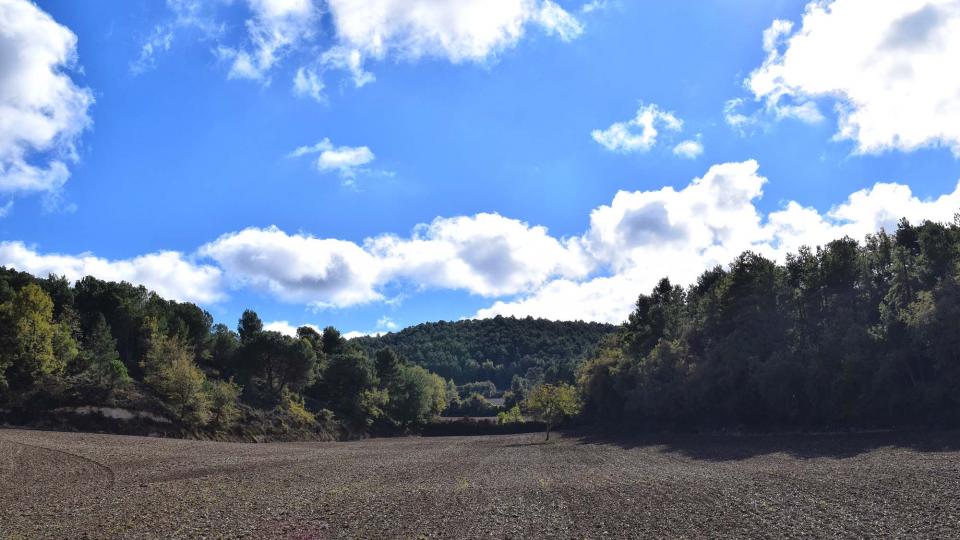 6.11.2016 paisatge de tardor  Rocamora -  Ramon Sunyer