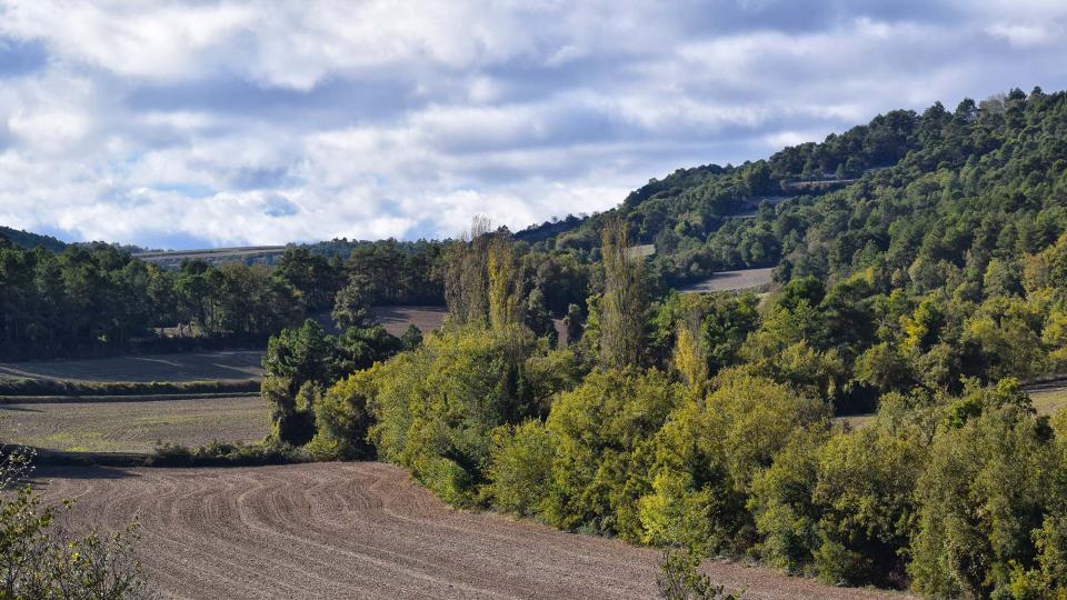 6.11.2016 paisatge de tardor  Rocamora -  Ramon Sunyer