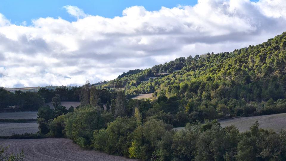 6.11.2016 paisatge de tardor  Rocamora -  Ramon Sunyer